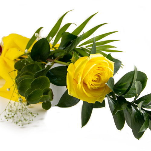 Rosa amarilla para regalar | Arte Floral Sweet Carolina