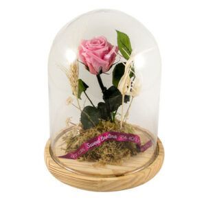 Cúpula de cristal con rosa eterna rosa