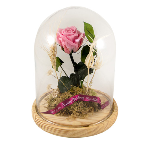 Cúpula de cristal con rosa eterna rosa | Arte Floral Sweet Carolina