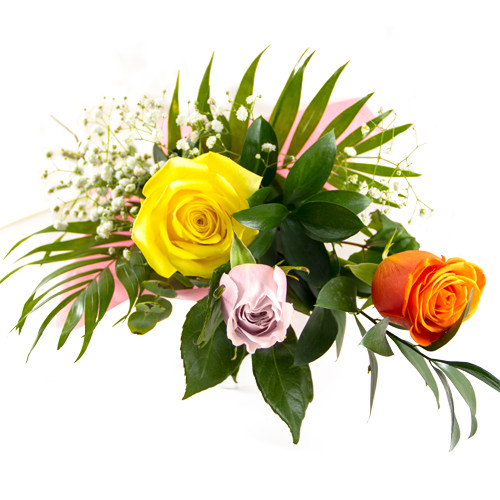 Detalle 3 rosas de colores para regalar | Arte Floral Sweet Carolina