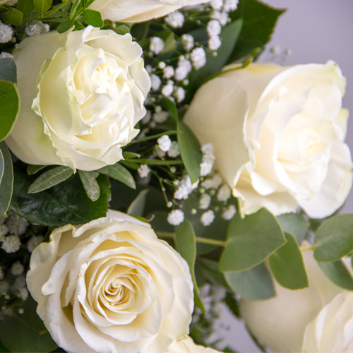 Ramo 12 rosas blancas para regalar | Arte Floral Sweet Carolina