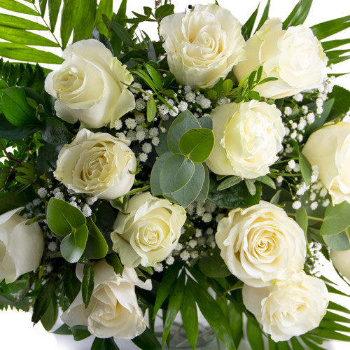 Ramo 12 rosas blancas para regalar | Arte Floral Sweet Carolina