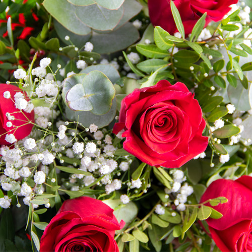 Ramo 6 rosas rojas para regalar | Arte Floral Sweet Carolina
